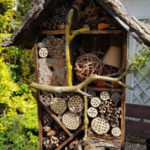 Atelier parents-enfants - Construction d'un hôtel à insectes